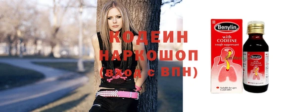 прущие грибы Абдулино