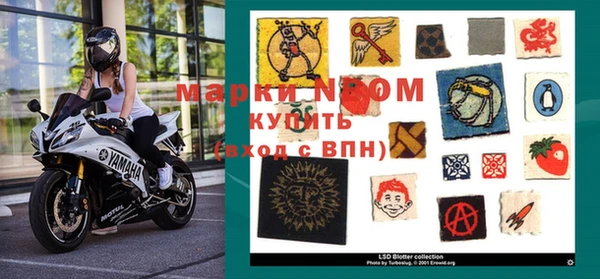 прущие грибы Абдулино