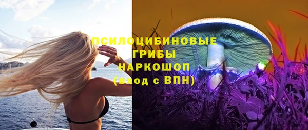 прущие грибы Абдулино