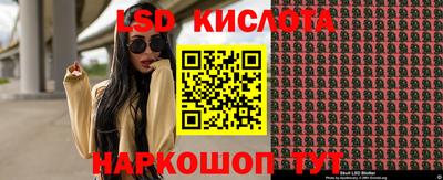 гидропоника Пугачёв