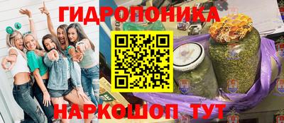 гидропоника Пугачёв