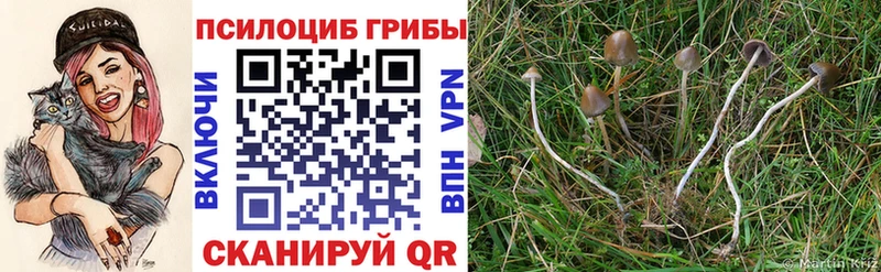 Псилоцибиновые грибы GOLDEN TEACHER  Фурманов 