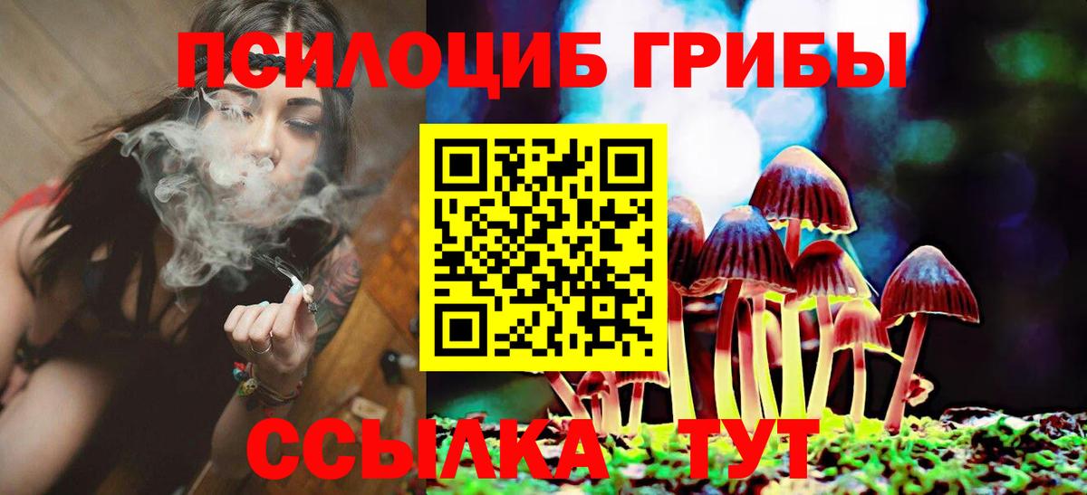 где купить наркотик  Псилоцибиновые грибы GOLDEN TEACHER  Вход с VPN  Фурманов 